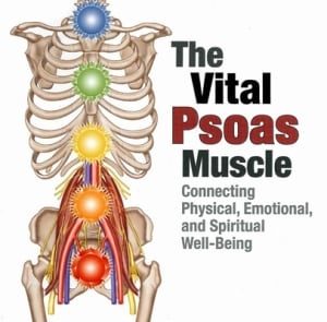 psoas muscle